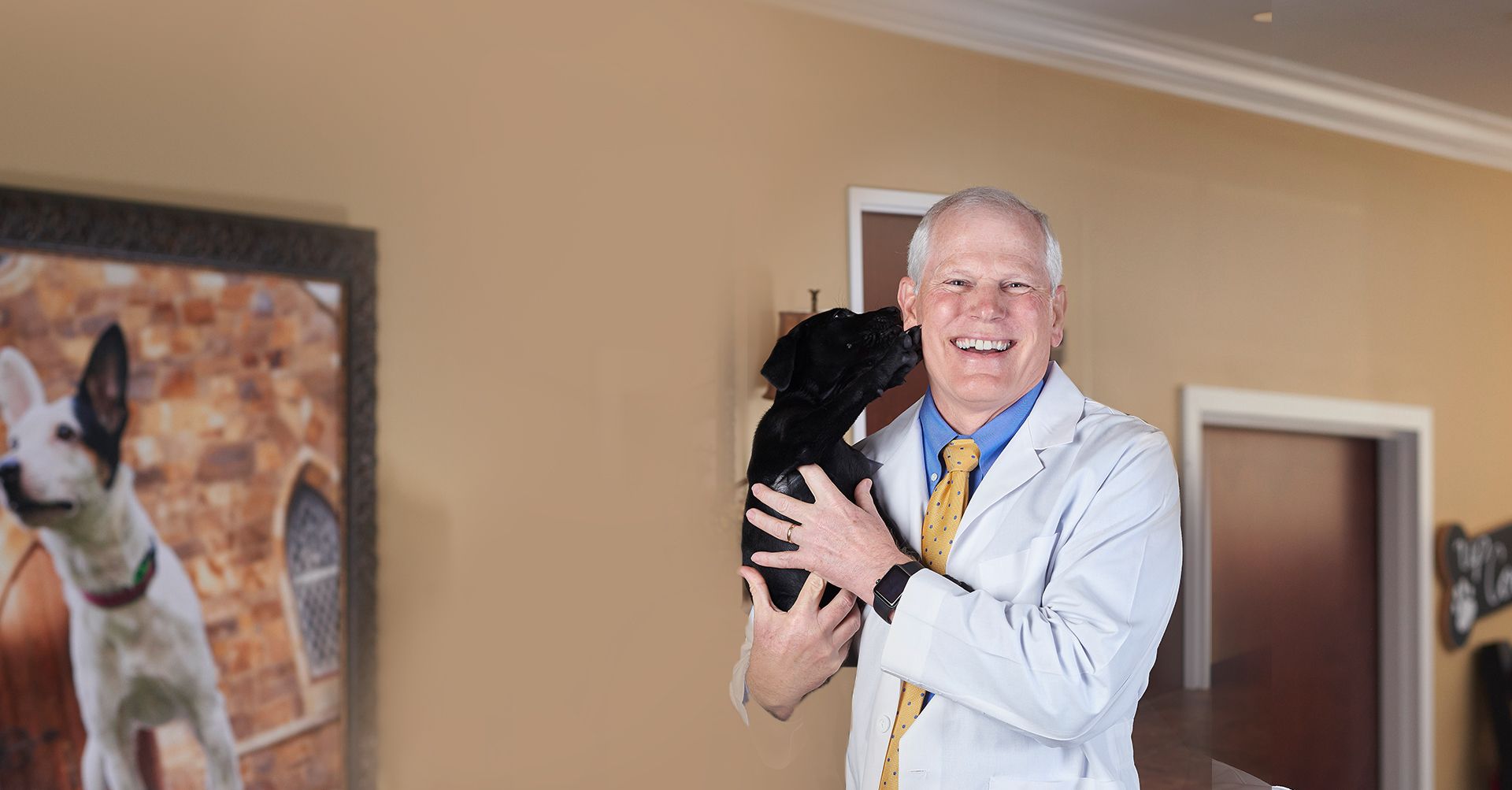 veterinarians in rome, georgia