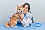New Year, New Pet Health Goals: Starting a Wellness Routine