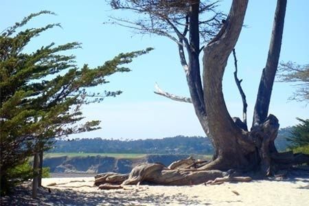 Carmel By the Sea