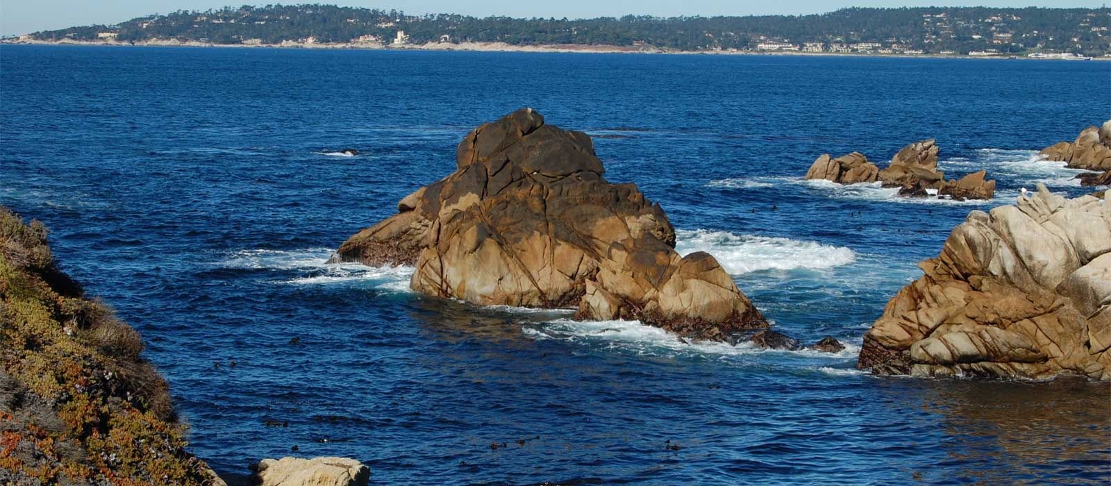 Point Lobos