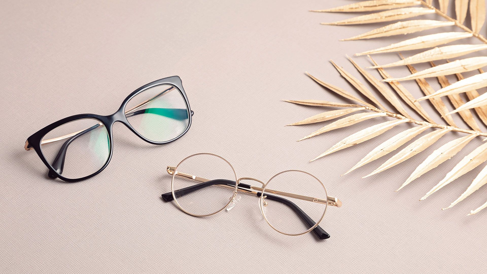 Optometrist in Fremont Warm Springs Optometric Group