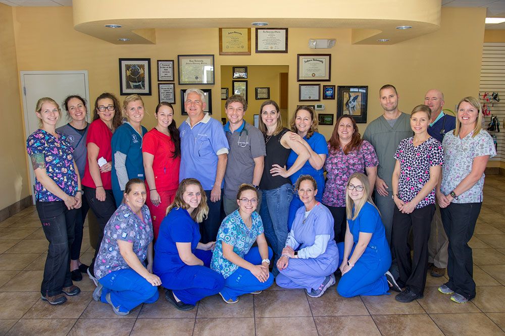 Contact Charlotte Animal Hospital, Veterinarian in Port Charlotte FL