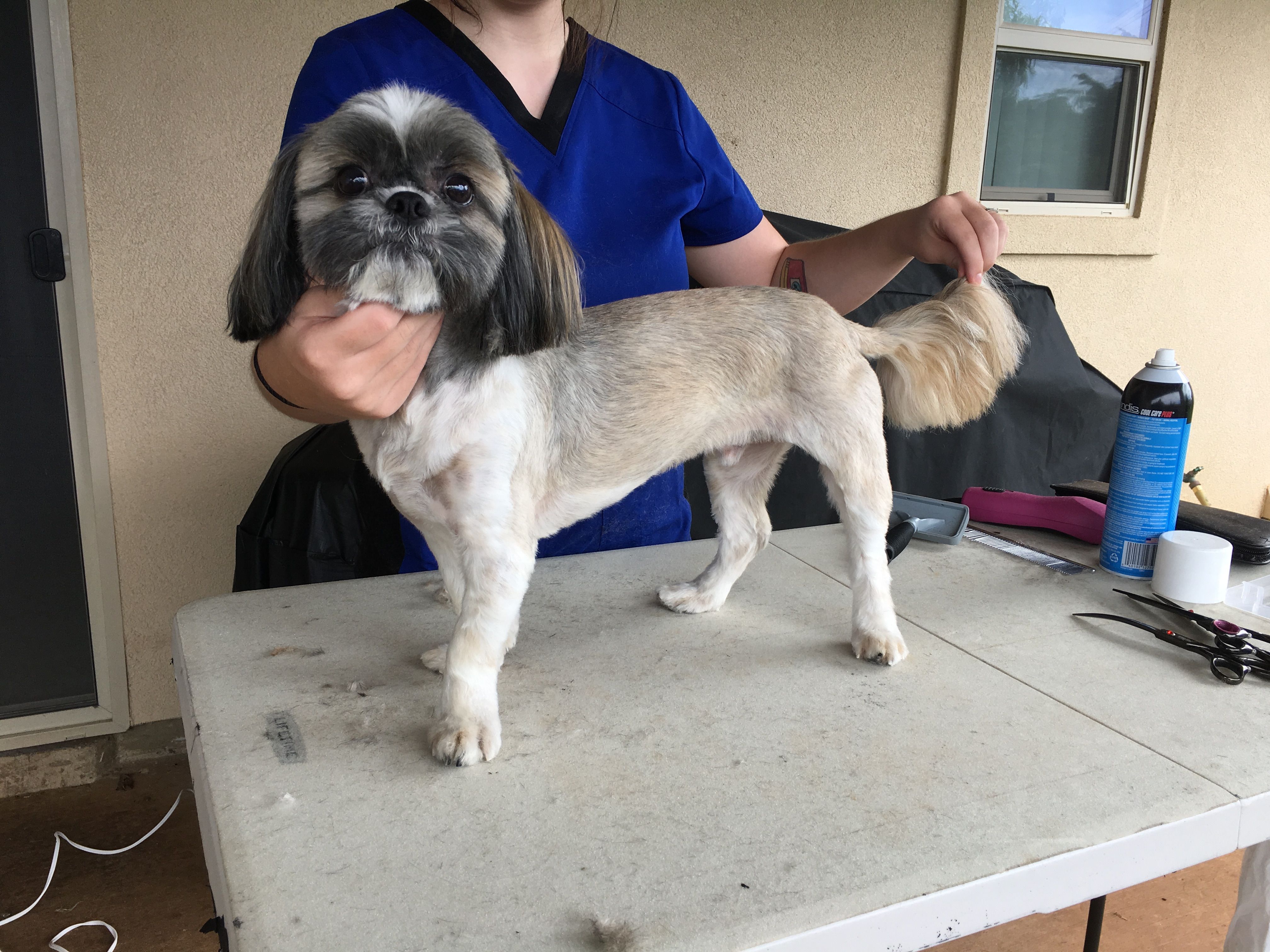 After grooming
