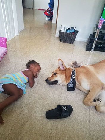 child with dog