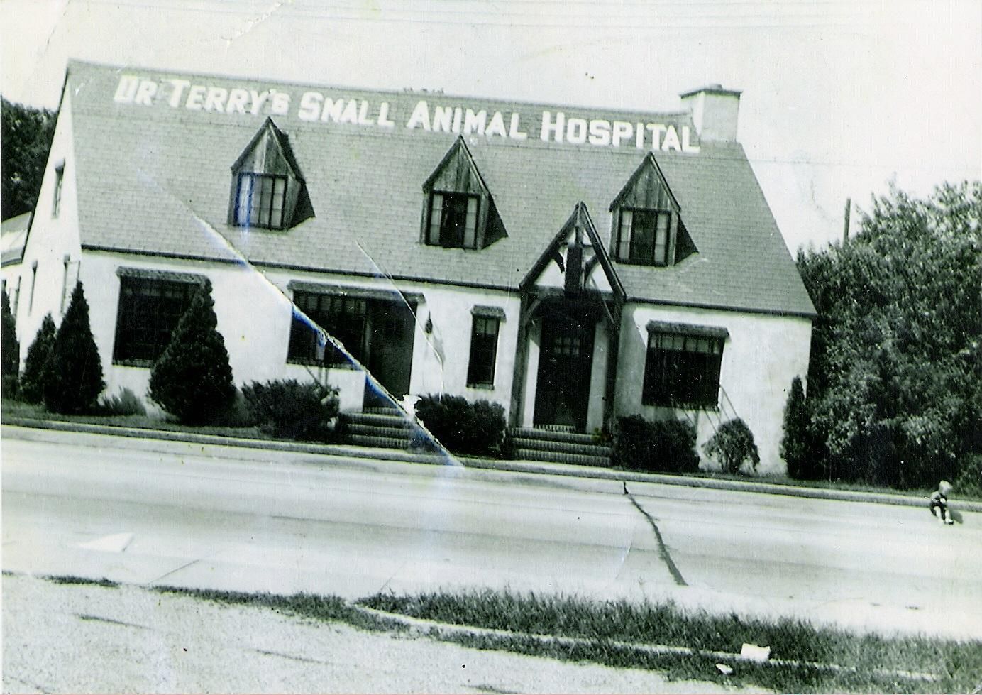 terry animal hospital