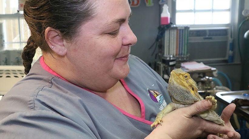 exotic pet doctor near me