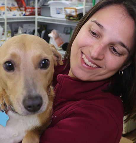 Safe Harbor Animal Hospital Reviews