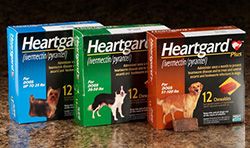 Heartgard $12.00 Mail in Rebate