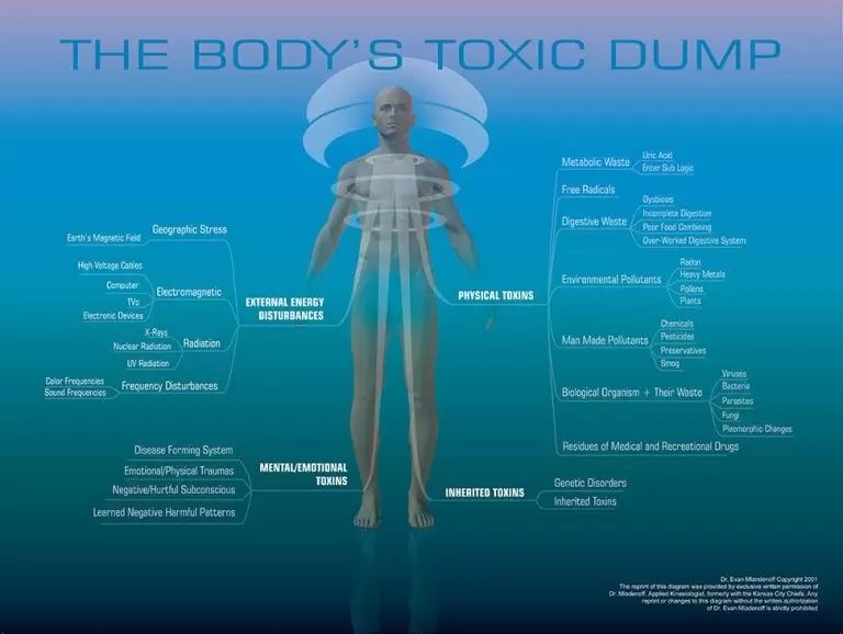 body's toxic dump