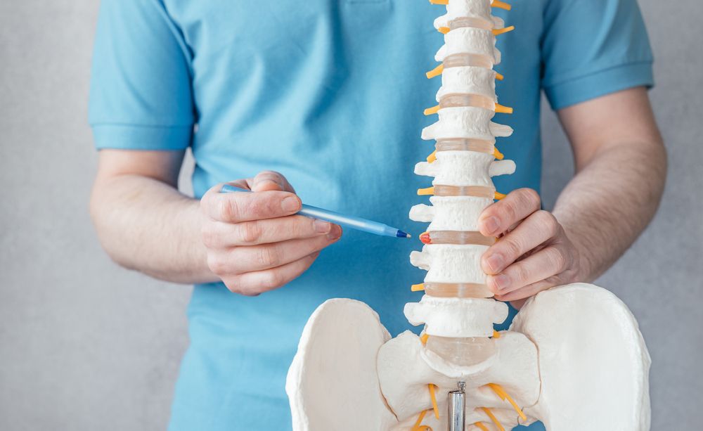 A Guide to Choosing the Best Chiropractor for Your Needs