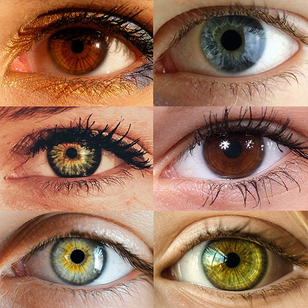 Eye Color Trivia
