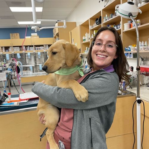 Urgent Care, Redlands CA Pet Hospital of Redlands + Urgent Care