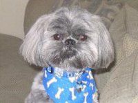 Coco
