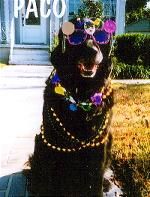 Paco