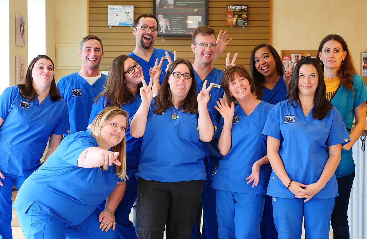 Team of Nippers Corner Pet Medical Center