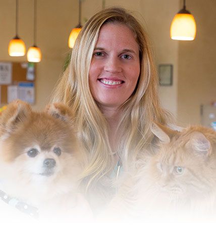 Nashville TN Dog with Vet