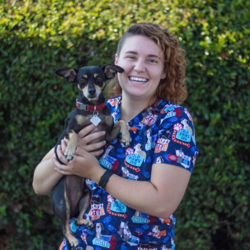 About El Cerrito Veterinary Hospital Veterinarian in La