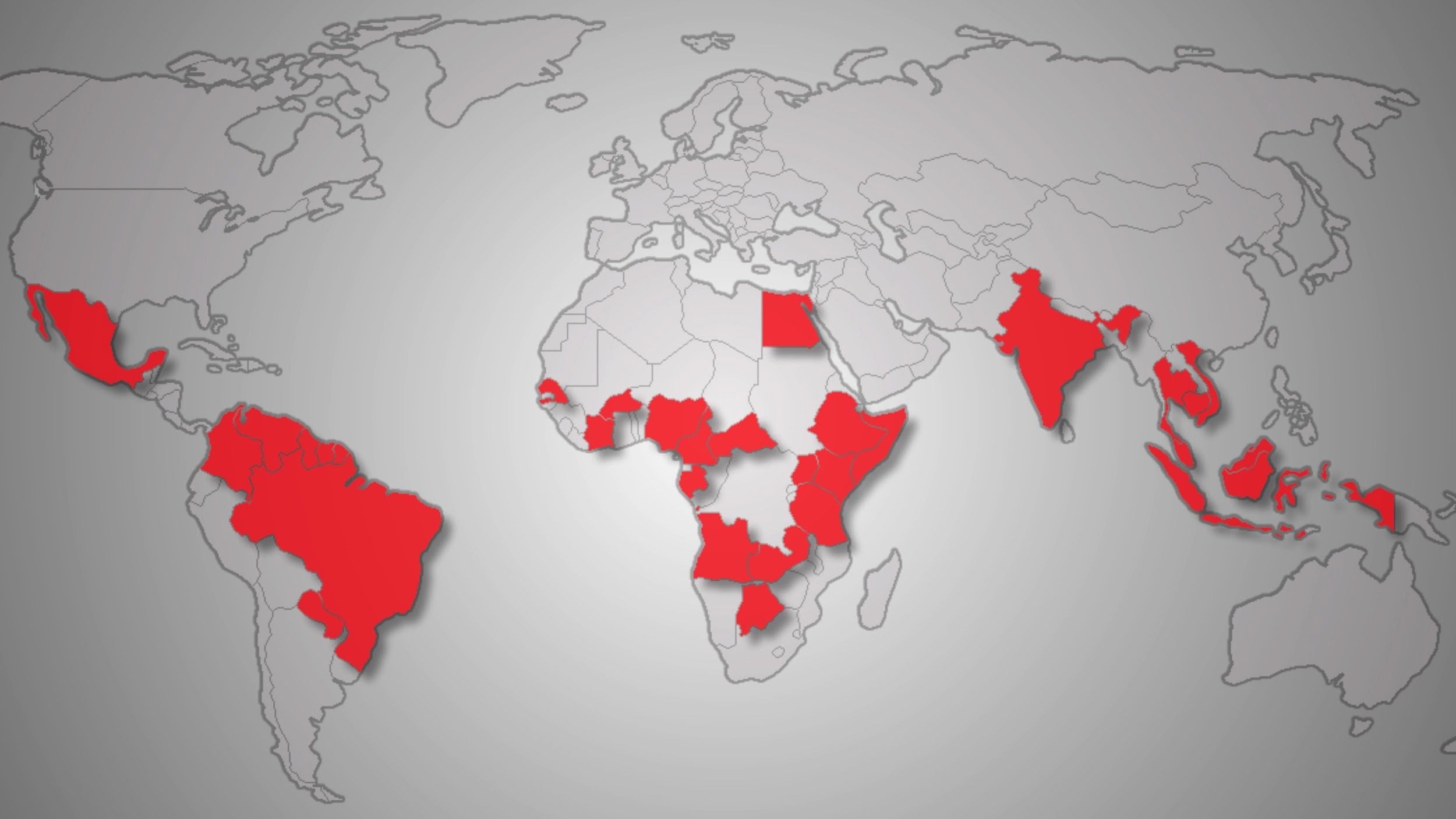 dengue world map