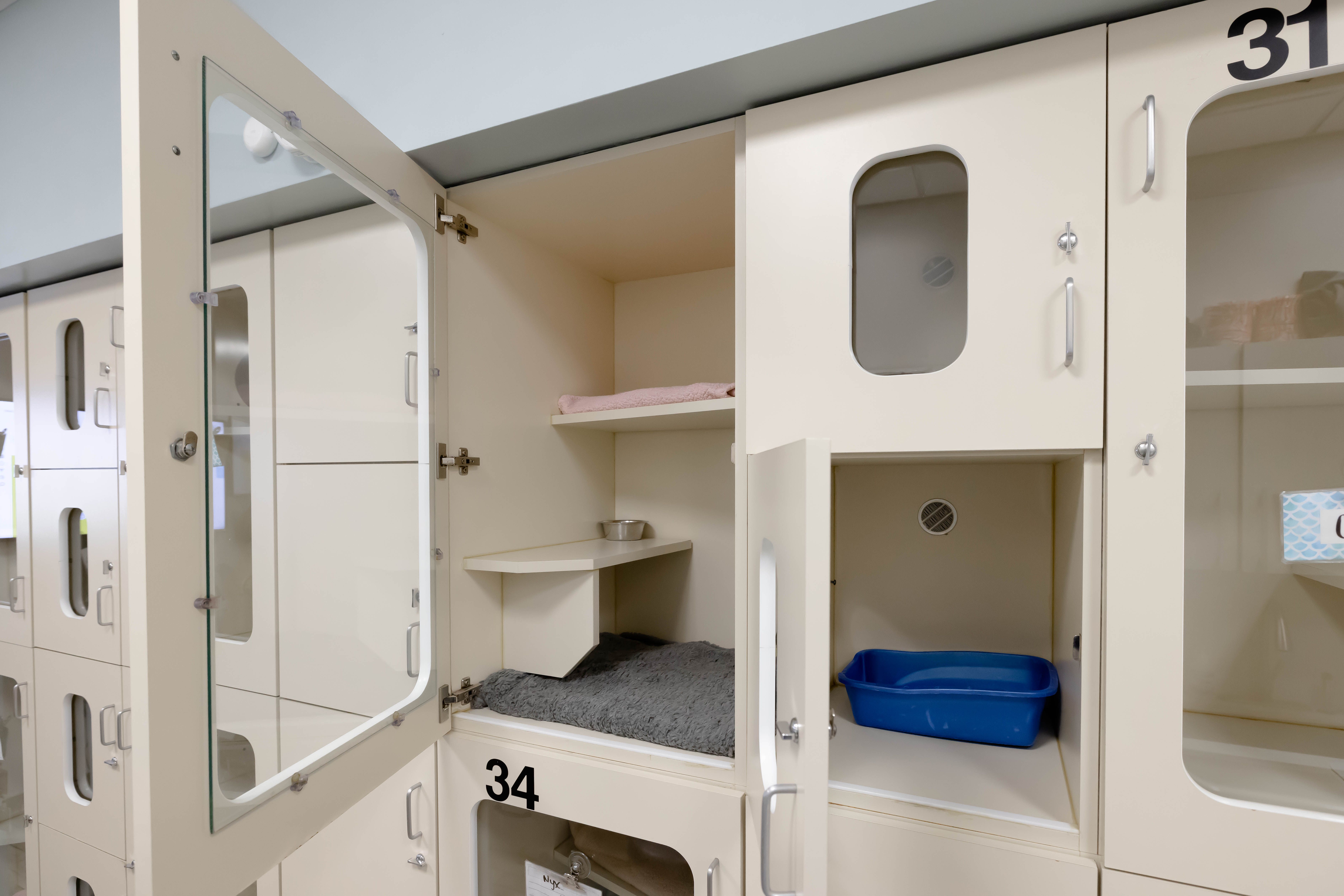 Pet Boarding Malibu Cat Condo Malibu Coast Animal Hospital