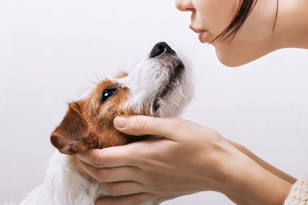Why Does My Dog's Breath Smell Bad?