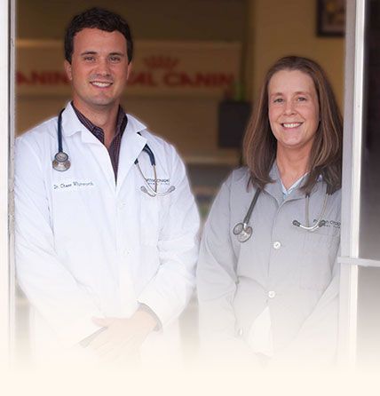 Patton Chapel Animal Clinic Doctors
