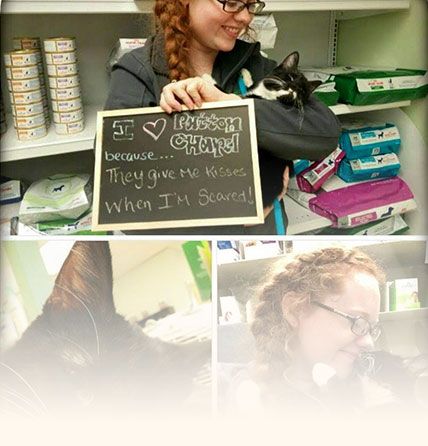 Patton Chapel Animal Clinic Reviews