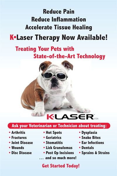 Cold Laser Therapy