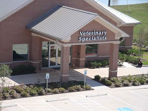 Sugar Land Veterinary Specialist