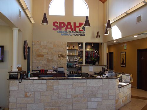 Sienna Plantation Animal Hospital, Veterinarian in Missouri City