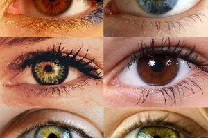 Eye Color Trivia