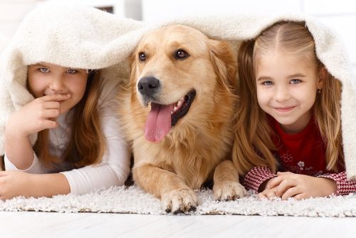 How to Stay Safe and Have Fun When Kids and Pets Play