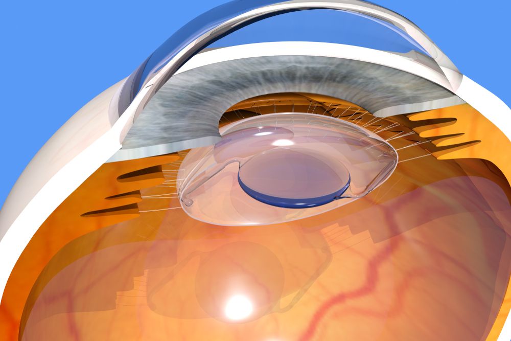 eye care articles