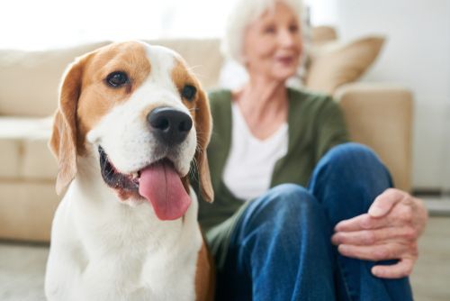 6 Ways Owning a Pet is Good For Your Health