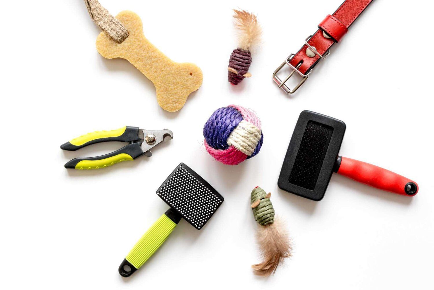 Essential Accessories & Supplies for All Pet Owners