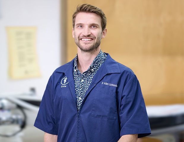 Dr. Adam Lichtensteiger, DVM