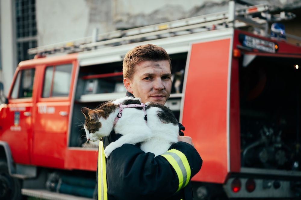 National Pet Fire Safety Day