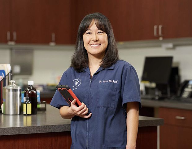 Dr. Dawn S. Morikami, DVM