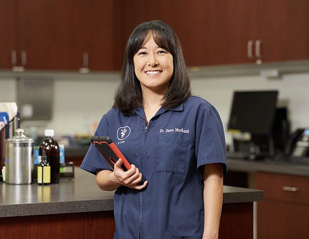 Dr. Dawn S. Morikami, DVM