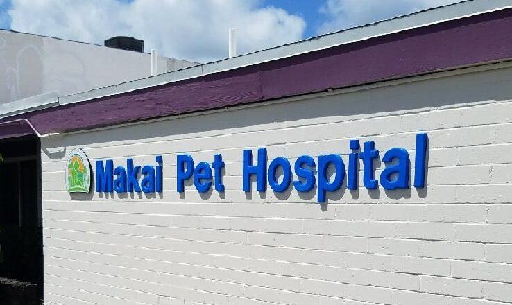 Makai pet hospital 