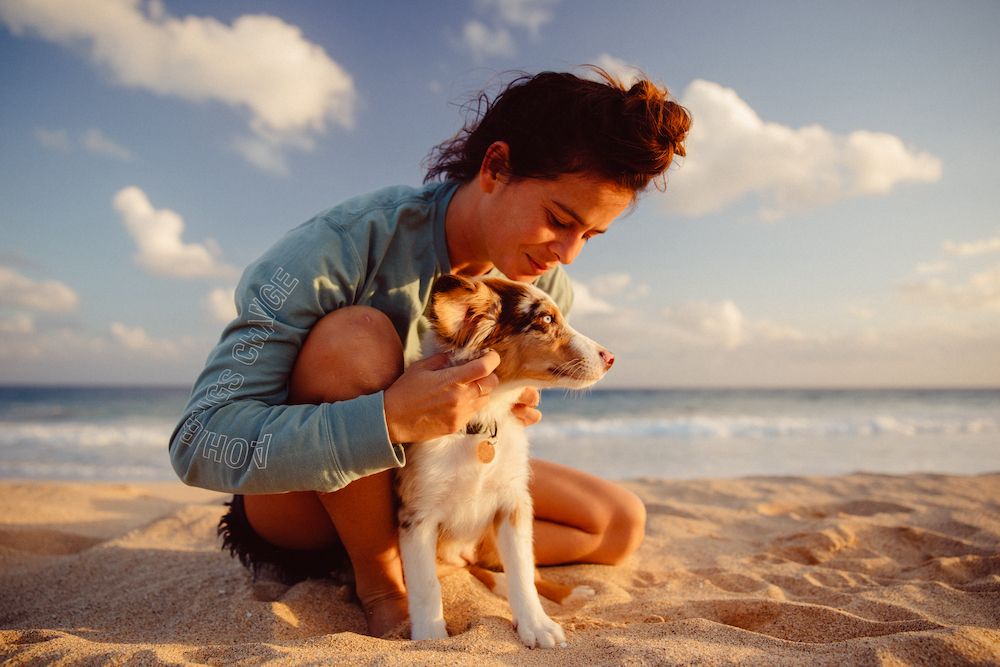5 Ways to Celebrate Your Pal for Pet Appreciation Week
