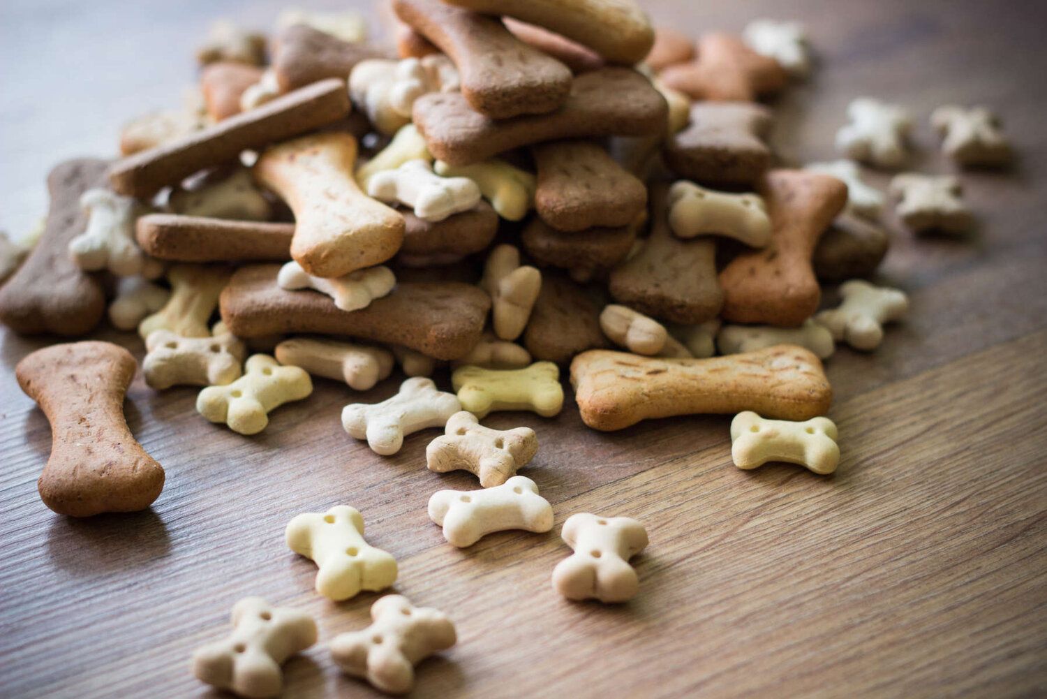 Choosing Food Snacks That Are Suitable for Pets