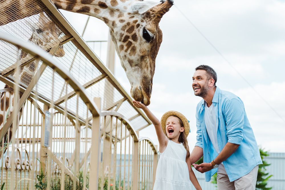 3 Ways To Celebrate National Zoo and Aquarium Month
