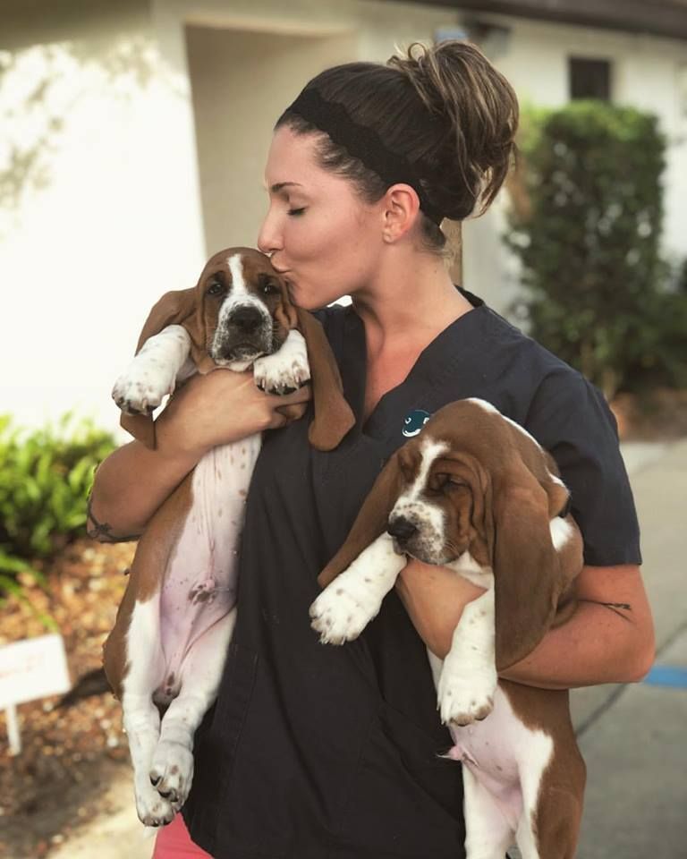Contact Us - Vet in DeLand FL | Countryside Animal Clinic