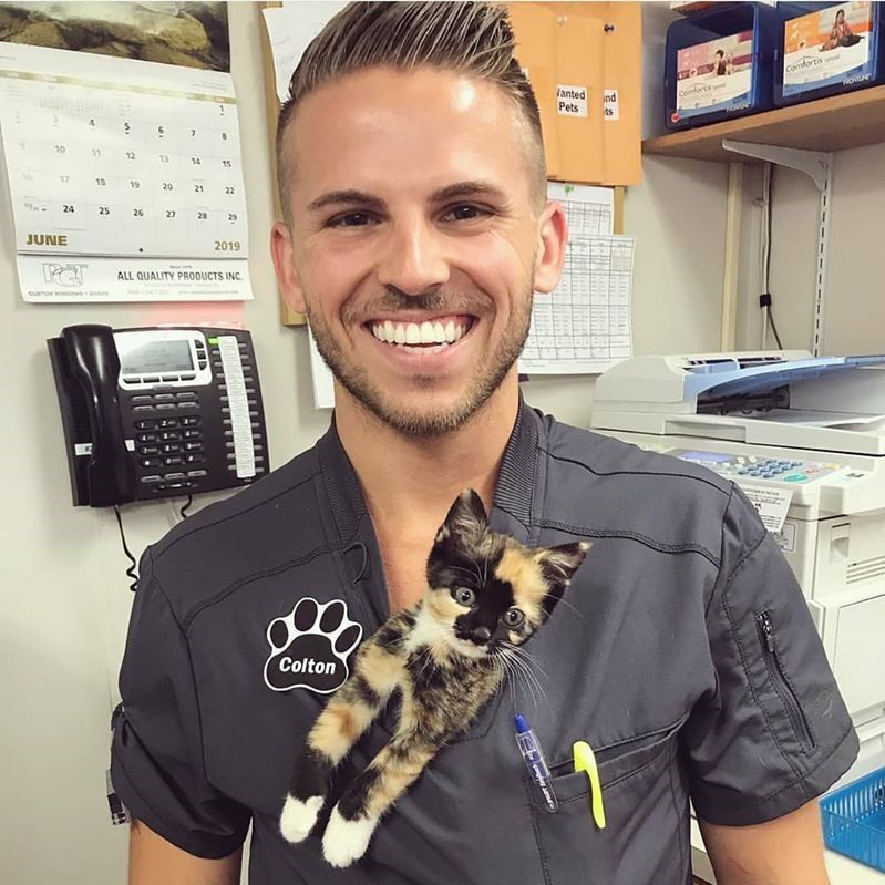 cat vet