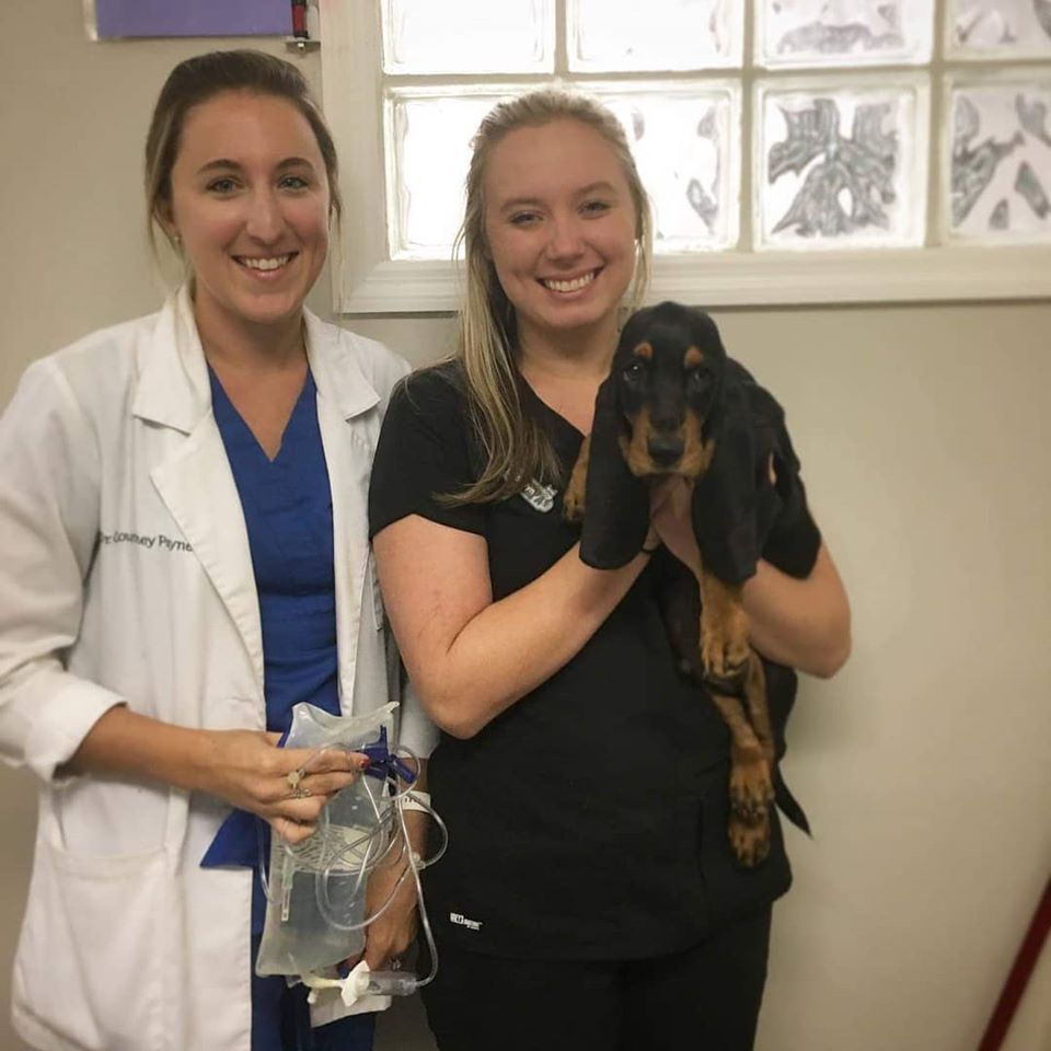 Nursing Care and Oncology