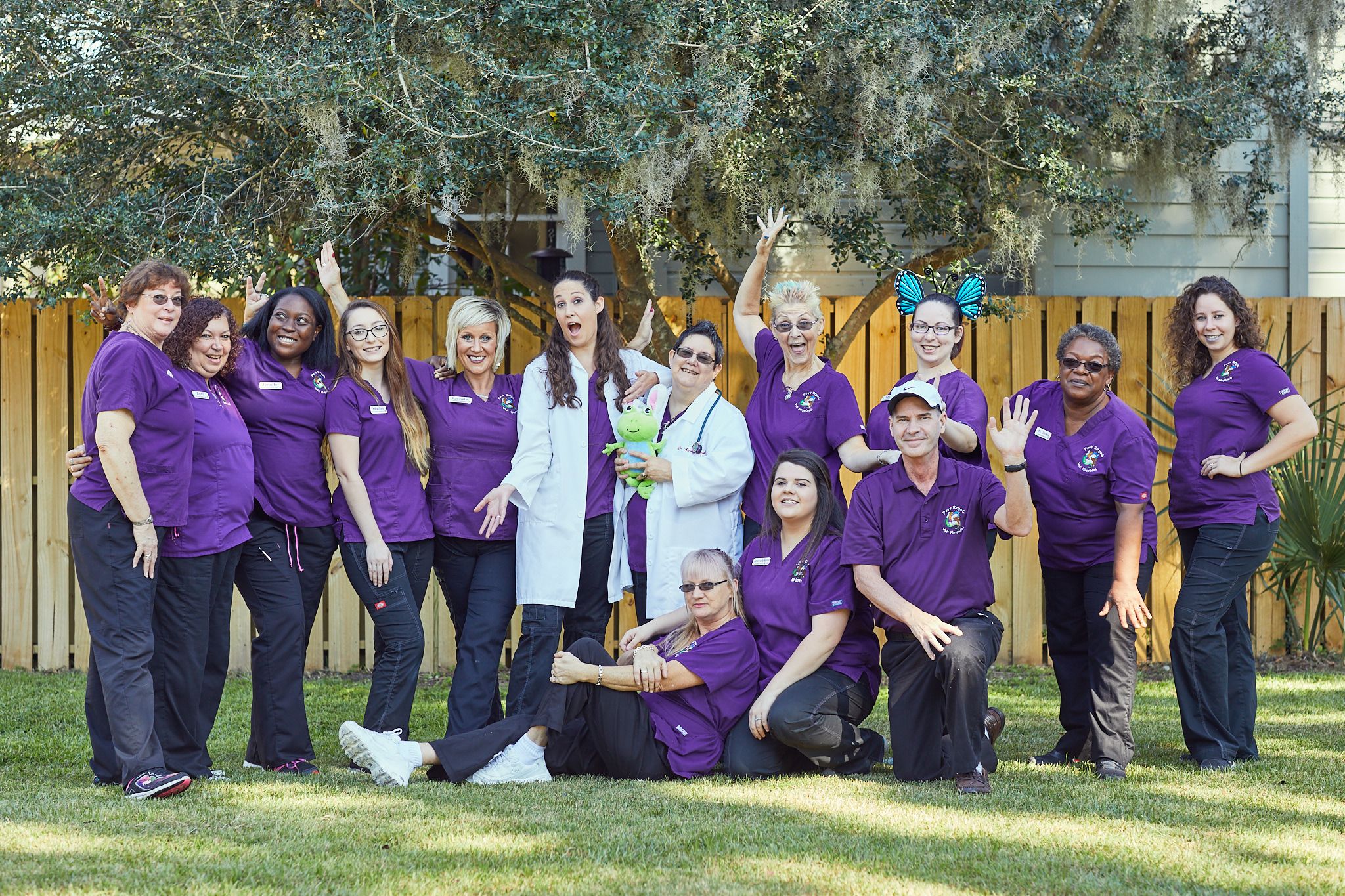 veterinary team