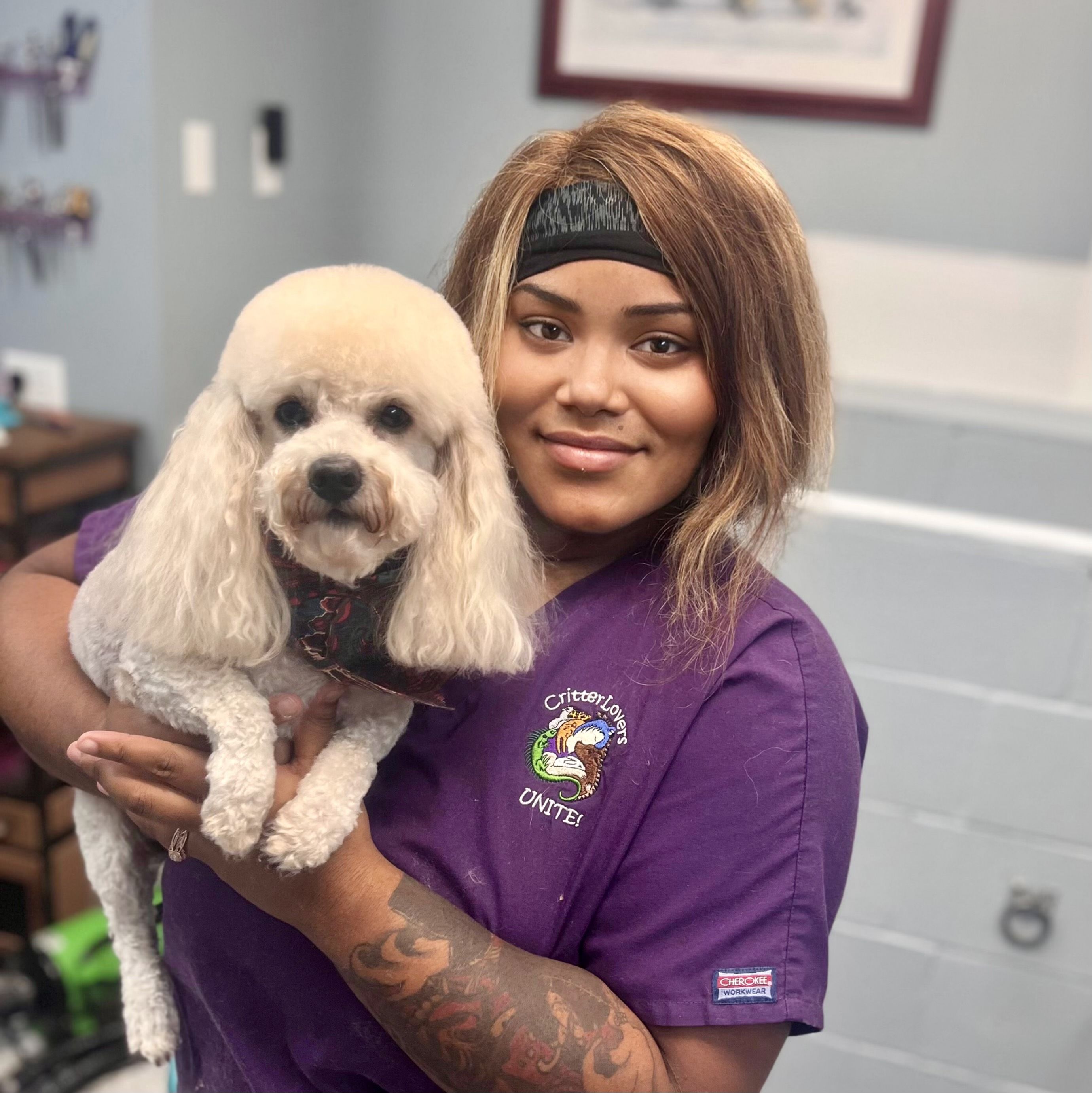 Veterinary Staff Port Royal Vet Port Royal Veterinary Hospital