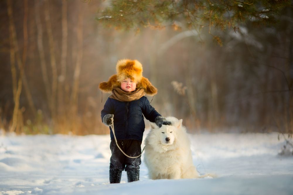 Kid with dog in the winter