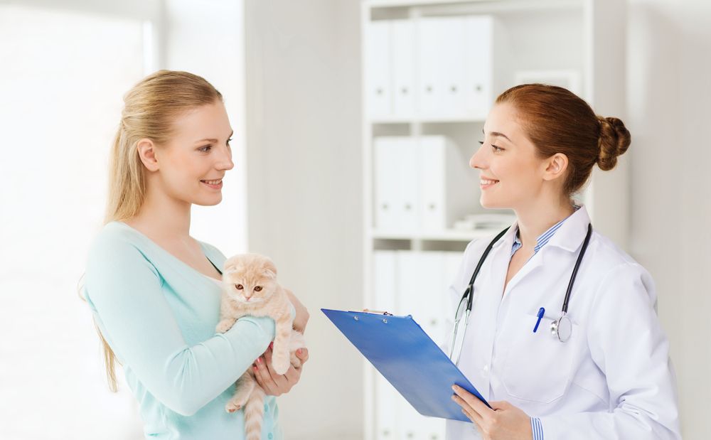 happy pet owner speaking with a vet