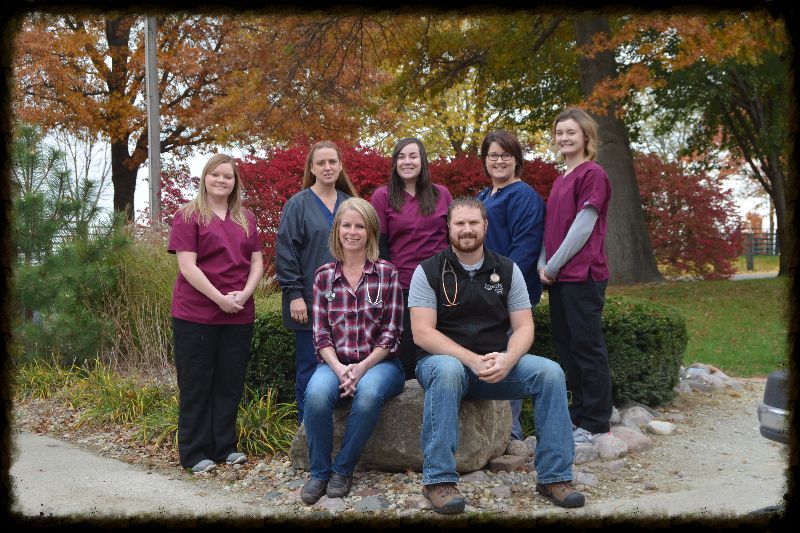 Auburn Veterinary Service Veterinarian in Auburn IL